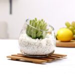 Wholesale Glass Vase HP-042 - Image 5